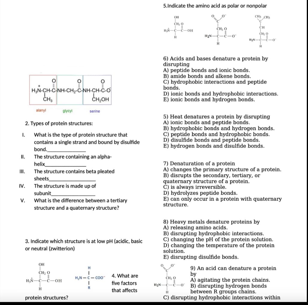 I.
II.
III.
IV.
V.
O
HƠN-CH-CANH-CH-C-NH-CH-CO
alanyl
CH3
2. Types of protein structures:
What is the type of protein structure that
contains a single strand and bound by disulfide
bond.
glycyl
OH
serine
The structure containing an alpha-
helix
CH, 0
||
H₂N-C-C-OH
H
O
The structure contains beta pleated
sheets
The structure is made up of
subunit
What is the difference between a tertiary
structure and a quaternary structure?
CH₂OH
3. Indicate which structure is at low pH (acidic, basic
or neutral (zwitterion)
protein structures?
H
R
H₂N-C-COO™
4. What are
five factors
that affects
5.Indicate the amino acid as polar or nonpolar
OH
CH, O
!
H₂N-C-C-OH
H
CH: 0
H₂N-C-C-0
H
CH3 CH3
CH
CH, O
H₂N-C-C-0
H
6) Acids and bases denature a protein by
disrupting
A) peptide bonds and ionic bonds.
B) amide bonds and alkene bonds.
C) hydrophobic interactions and peptide
bonds.
D) ionic bonds and hydrophobic interactions.
E) ionic bonds and hydrogen bonds.
5) Heat denatures a protein by disrupting
A) ionic bonds and peptide bonds.
B) hydrophobic bonds and hydrogen bonds.
C) peptide bonds and hydrophobic bonds.
D) disulfide bonds and peptide bonds.
E) hydrogen bonds and disulfide bonds.
7) Denaturation of a protein
A) changes the primary structure of a protein.
B) disrupts the secondary, tertiary, or
quaternary structure of a protein.
C) is always irreversible.
D) hydrolyzes peptide bonds.
E) can only occur in a protein with quaternary
structure.
CH: 0
H₂N-C-C-0
8) Heavy metals denature proteins by
A) releasing amino acids.
B) disrupting hydrophobic interactions.
C) changing the pH of the protein solution.
D) changing the temperature of the protein
solution.
E) disrupting disulfide bonds.
9) An acid can denature a protein
by
A) agitating the protein chains.
B) disrupting hydrogen bonds
between R groups chains.
H
C) disrupting hydrophobic interactions within