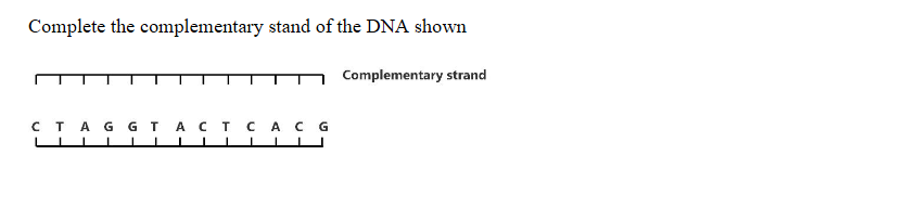 Complete the complementary stand of the DNA shown
Complementary strand
стАG GTACT CAC G
