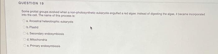 QUESTION 19
Some protist groups evolved when a non-photosynthetic eukaryote engulfed a red algae: instead of digesting the algae, it became incorporated
Into the cell. The name of this process is:
Oa. Ancestral heterotrophic eukaryote
Ob. Plastid
OC. Secondary endosymbiosis
Od. Mitochondria
Oe. Primary endosymbiosis
