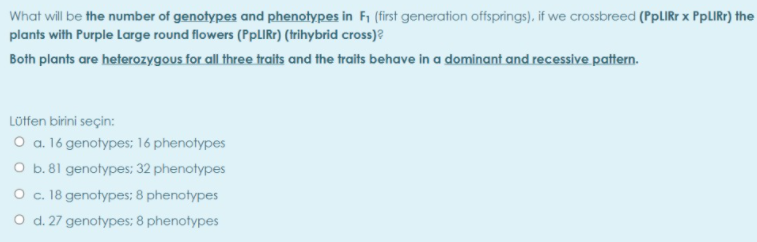 What will be the number of genotypes and phenotypes in Fi (first generation offsprings), if we crossbreed (PPLIRT x PpLIRr) the
plants with Purple Large round flowers (PPLIRF) (trihybrid cross)?
Both plants are heterozygous for all three traits and the traits behave in a dominant and recessive pattern.
Löffen birini seçin:
O a. 16 genotypes; 16 phenotypes
O b. 81 genotypes; 32 phenotypes
O c. 18 genotypes; 8 phenotypes
O d. 27 genotypes; 8 phenotypes
