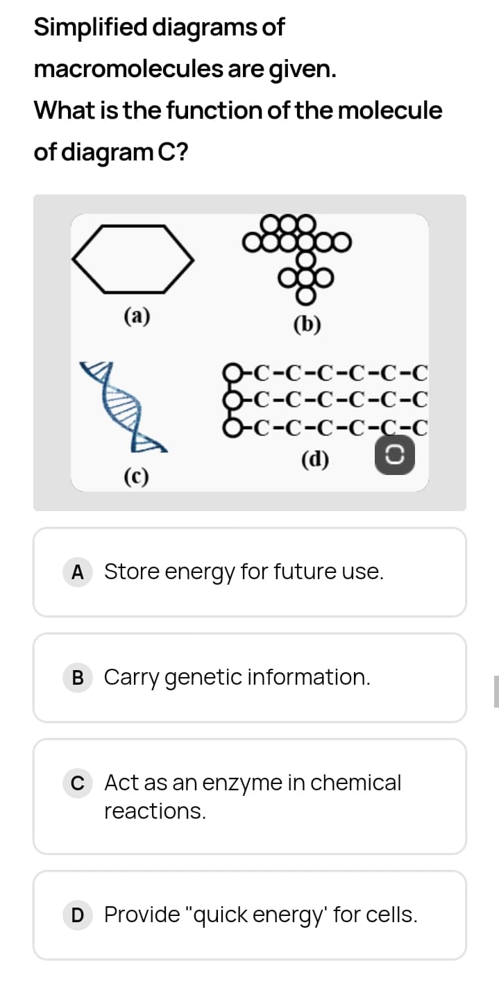 Simplified diagrams of
macromolecules are given.
What is the function of the molecule
of diagram C?
ос-с-с-с-с-с
О-с-с-с-С-С-с
б-с-с-с-с-С-С
(d)
(c)
A Store energy for future use.
B Carry genetic information.
C Act as an enzyme in chemical
reactions.
D Provide "quick energy' for cells.
C)
