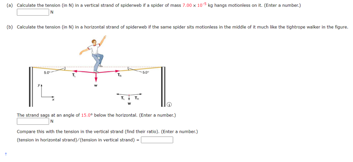 (a) Calculate the tension (in N) in a vertical strand of spiderweb if a spider of mass 7.00 x 10-5 kg hangs motionless on it. (Enter a number.)
N
(b) Calculate the tension (in N) in a horizontal strand of spiderweb if the same spider sits motionless in the middle of it much like the tightrope walker in the figure.
5.0⁰-
TR
Tinh Tr
W
-5.0°
The strand sags at an angle of 15.0° below the horizontal. (Enter a number.)
N
Compare this with the tension in the vertical strand (find their ratio). (Enter a number.)
(tension in horizontal strand)/(tension in vertical strand) =