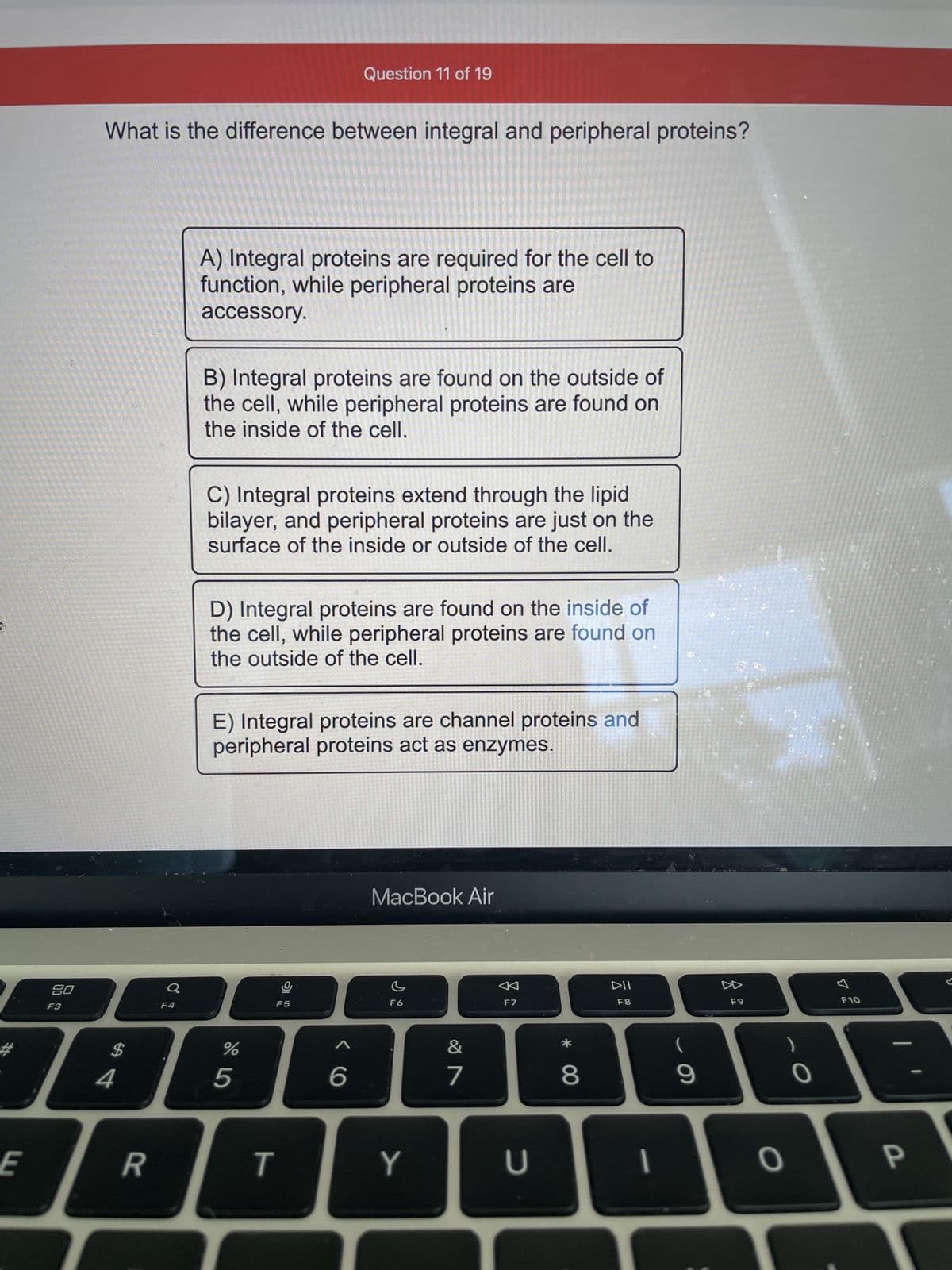 20
F3
E
What is the difference between integral and peripheral proteins?
JA
4
पी
F4
R
A) Integral proteins are required for the cell to
function, while peripheral proteins are
accessory.
B) Integral proteins are found on the outside of
the cell, while peripheral proteins are found on
the inside of the cell.
C) Integral proteins extend through the lipid
bilayer, and peripheral proteins are just on the
surface of the inside or outside of the cell.
Question 11 of 19
D) Integral proteins are found on the inside of
the cell, while peripheral proteins are found on
the outside of the cell.
E) Integral proteins are channel proteins and
peripheral proteins act as enzymes.
%
5
T
9
F5
6
MacBook Air
F6
Y
&
7
F7
U
* 00
8
DII
F8
1
9
F9
0
C
O
7
F10
P
