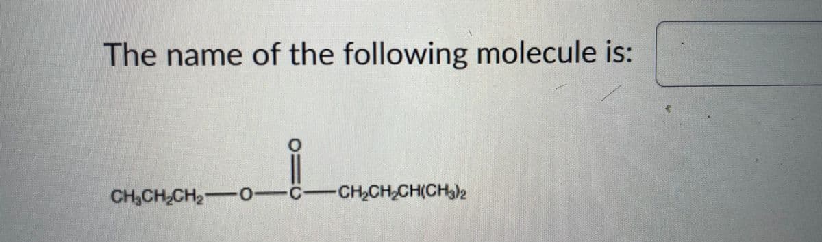The name of the following molecule is:
CH₂CH₂CH₂-0—C—CH₂CH₂CH(CH₂)₂