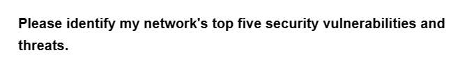 Please identify my network's top five security vulnerabilities and
threats.