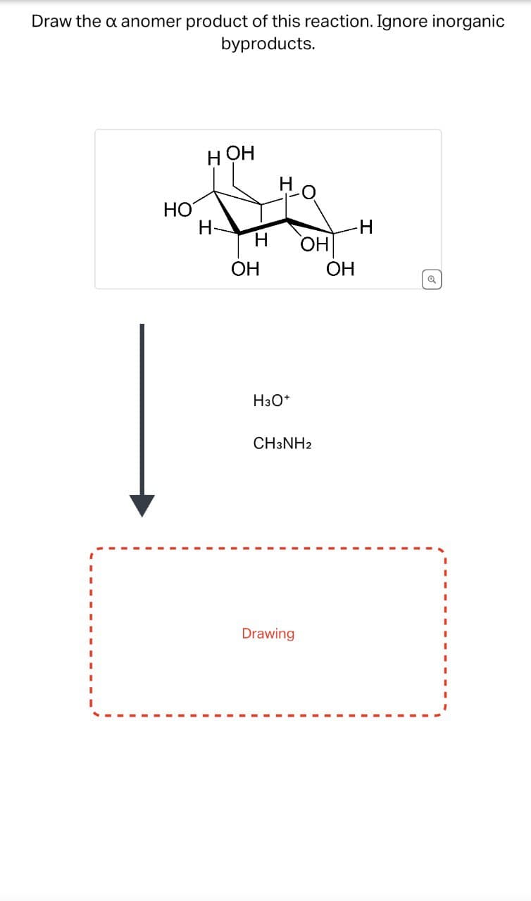 Draw the x anomer product of this reaction. Ignore inorganic
byproducts.
HOH
HO
H-
-H
H
OH
OH
OH
Q
H3O+
CH3NH2
Drawing