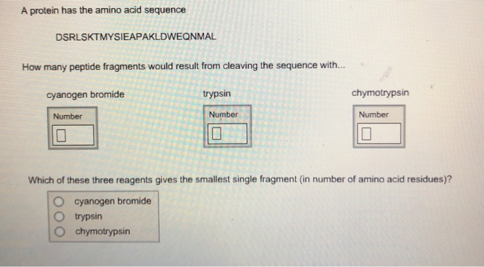 A protein has the amino acid sequence
DSRLSKTMYSIEAPAKLDWEQNMAL
How many peptide fragments would result from cleaving the sequence with...
cyanogen bromide
Number
trypsin
Number
10
chymotrypsin
Number
10
Which of these three reagents gives the smallest single fragment (in number of amino acid residues)?
cyanogen bromide
trypsin
chymotrypsin