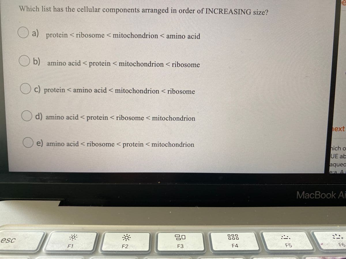 e
Which list has the cellular components arranged in order of INCREASING size?
a) protein < ribosome < mitochondrion < amino acid
b) amino acid < protein < mitochondrion < ribosome
C) protein < amino acid < mitochondrion < ribosome
d) amino acid < protein < ribosome < mitochondrion
ext
O e) amino acid < ribosome < protein <mitochondrion
hich o
UE ab
aqueo
ea A
MacBook Ai
000
esc
F1
F2
F3
F4
F5
F6
