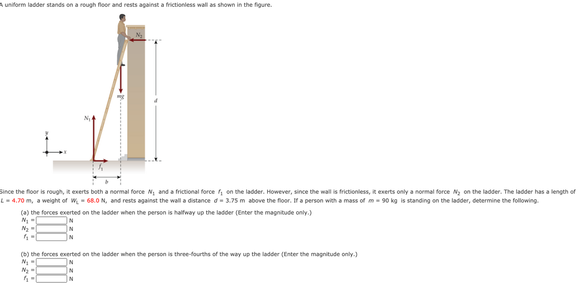 A uniform ladder stands on a rough floor and rests against a frictionless wall as shown in the figure.
N2
mg
d
b
Since the floor is rough, it exerts both a normal force N, and a frictional force f, on the ladder. However, since the wall is frictionless, it exerts only a normal force N, on the ladder. The ladder has a length of
L = 4.70 m, a weight of W = 68.0 N, and rests against the wall a distance d = 3.75 m above the floor. If a person with a mass of m = 90 kg is standing on the ladder, determine the following.
(a) the forces exerted on the ladder when the person is halfway up the ladder (Enter the magnitude only.)
N1
N2 =
f1
%3D
(b) the forces exerted on the ladder when the person is three-fourths of the way up the ladder (Enter the magnitude only.)
N1 =
N
N2 =
f1

