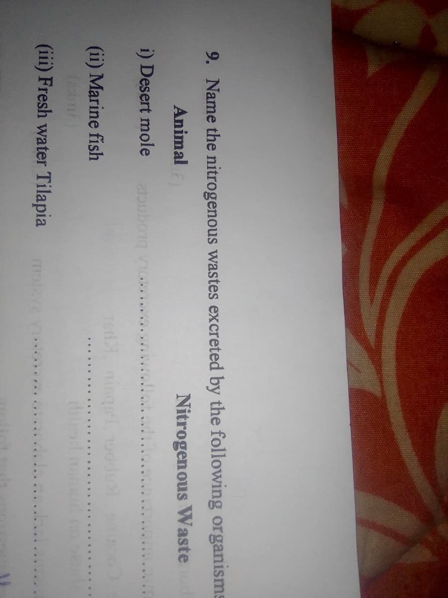 9. Name the nitrogenous wastes excreted by the following organisms
Animal
Nitrogen ous Waste
i) Desert mole
OLA DLOgncr
Te, ninqei 1ddu
....
(ii) Marine fish
(iii) Fresh water Tilapia
