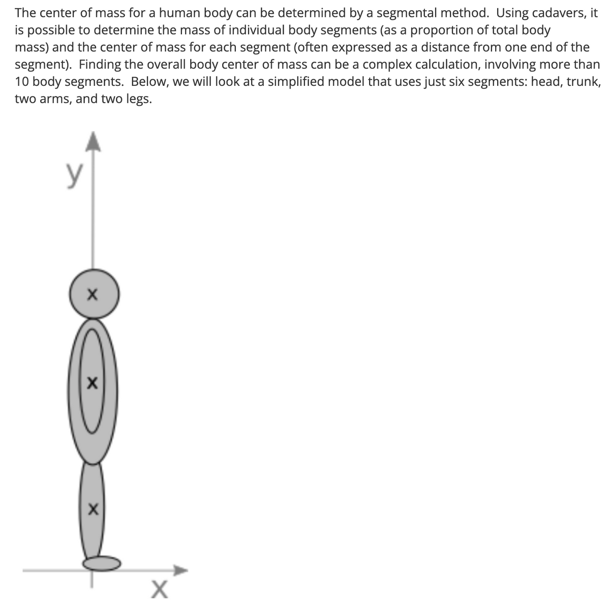 The center of mass for a human body can be determined by a segmental method. Using cadavers, it
is possible to determine the mass of individual body segments (as a proportion of total body
mass) and the center of mass for each segment (often expressed as a distance from one end of the
segment). Finding the overall body center of mass can be a complex calculation, involving more than
10 body segments. Below, we will look at a simplified model that uses just six segments: head, trunk,
two arms, and two legs.
y
X
X
X