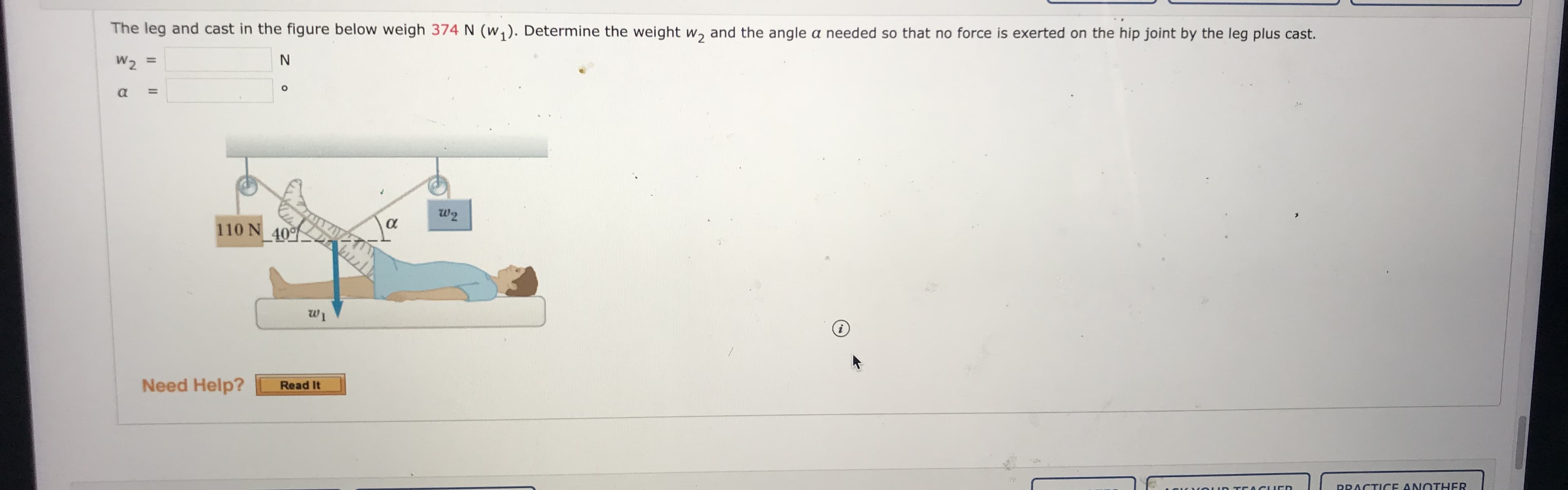 The leg and cast in the figure below weigh 374 N (w,). Determine the weight w, and the angle a needed so that no force is exerted on the hip joint by the leg plus cast.
W2 =
a
%3D
w2
110 N 40
α
wi
Need Help?
Read It
