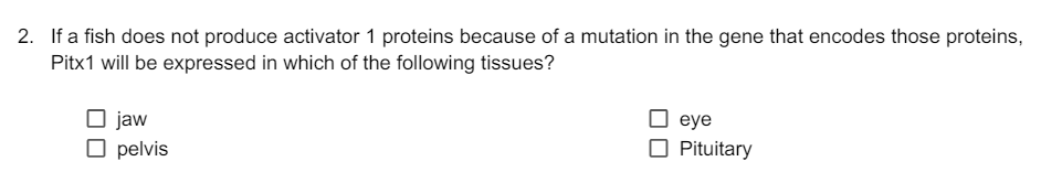 2. If a fish does not produce activator 1 proteins because of a mutation in the gene that encodes those proteins,
Pitx1 will be expressed in which of the following tissues?
jaw
☐ pelvis
eye
☐ Pituitary