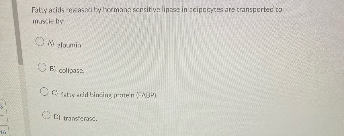 3
AMM
16
Fatty acids released by hormone sensitive lipase in adipocytes are transported to
muscle by:
OA) albumin.
B) colipase.
C) fatty acid binding protein (FABP).
OD) transferase.