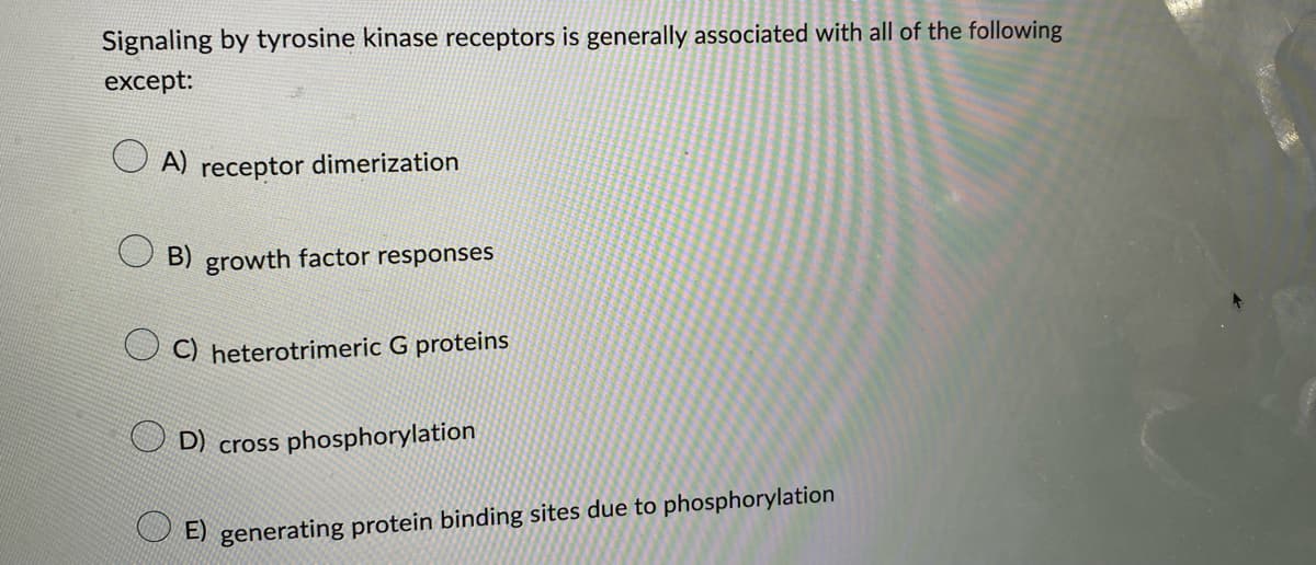 Signaling by tyrosine kinase receptors is generally associated with all of the following
except:
A) receptor dimerization
B) growth factor responses
C) heterotrimeric G proteins
D) cross phosphorylation
E) generating protein binding sites due to phosphorylation