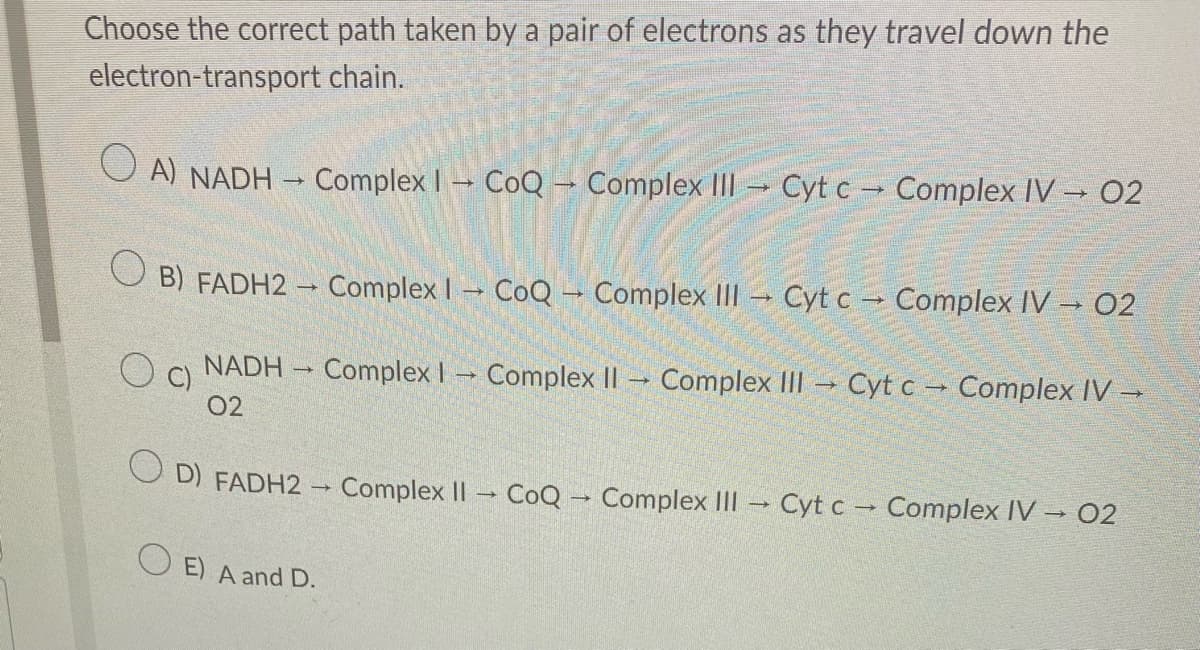 Choose the correct path taken by a pair of electrons as they travel down the
electron-transport chain.
OA) NADH
→
Complex CoQ → Complex III → Cyt c→ Complex IV → 02
OB) FADH2 → Complex I CoQ - Complex III
→
O c)
Cyt c Complex IV → 02
-
1
NADH Complex I Complex II Complex III
02
D) FADH2 → Complex II CoQ Complex III → Cyt c → Complex IV → 02
OE) A and D.
Cyt c Complex IV →
-