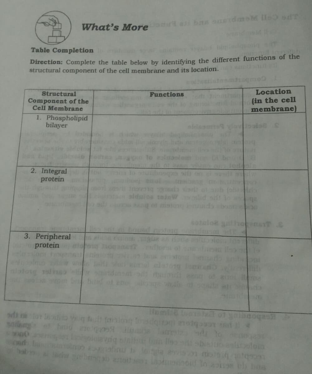 What's More
eorig sm
Table Completion
Direction: Complete the table below by identifving the different functions of the
structural component of the cell membrane and its location. o
Location
Structural
Component of the
Cell Membrane
Functions
(in the cell
membrane)
1. Phospholipid
bilayer
2. Integral
protein
dulos toinv
3. Peripheral
protein
ilang
onid
bb bos
