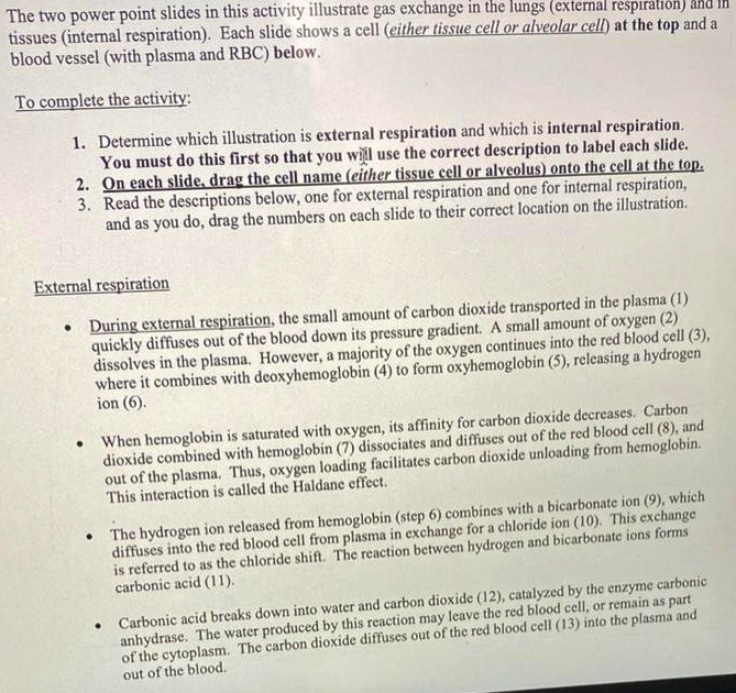 The two power point slides in this activity illustrate gas exchange in the lungs (external respiration)
tissues (internal respiration). Each slide shows a cell (either tissue cell or alveolar cell) at the top and a
blood vessel (with plasma and RBC) below.
To complete the activity:
1. Determine which illustration is external respiration and which is internal respiration.
You must do this first so that you wil use the correct description to label each slide.
2. On each slide, drag the cell name (either tissue cell or alveolus) onto the cell at the top.
3. Read the descriptions below, one for external respiration and one for internal respiration,
and as you do, drag the numbers on each slide to their correct location on the illustration.
External respiration
During external respiration, the small amount of carbon dioxide transported in the plasma (1)
quickly diffuses out of the blood down its pressure gradient. A small amount of oxygen (2)
dissolves in the plasma. However, a majority of the oxygen continues into the red blood cell (3),
where it combines with deoxyhemoglobin (4) to form oxyhemoglobin (5), releasing a hydrogen
ion (6).
When hemoglobin is saturated with oxygen, its affinity for carbon dioxide decreases. Carbon
dioxide combined with hemoglobin (7) dissociates and diffuses out of the red blood cell (8), and
out of the plasma. Thus, oxygen loading facilitates carbon dioxide unloading from hemoglobin.
This interaction is called the Haldane effect.
• The hydrogen ion released from hemoglobin (step 6) combines with a bicarbonate ion (9), which
diffuses into the red blood cell from plasma in exchange for a chloride ion (10). This exchange
is referred to as the chloride shift. The reaction between hydrogen and bicarbonate ions forms
carbonic acid (11).
• Carbonic acid breaks down into water and carbon dioxide (12), catalyzed by the enzyme carbonic
anhydrase. The water produced by this reaction may leave the red blood cell, or remain as part
of the cytoplasm. The carbon dioxide diffuses out of the red blood cell (13) into the plasma and
out of the blood.
