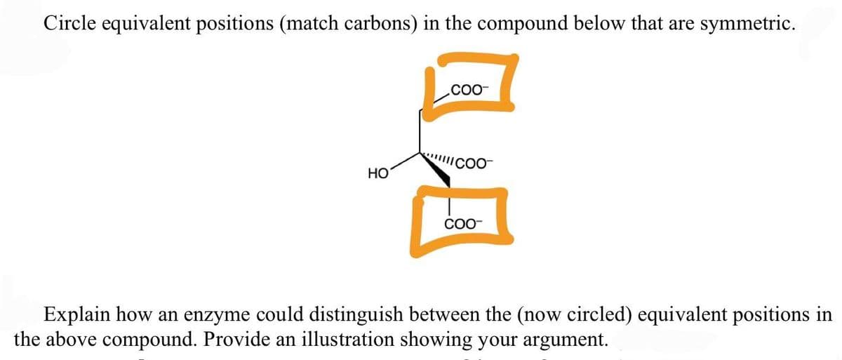 Circle equivalent positions (match carbons) in the compound below that are symmetric.
HO
COO-
COO-
Explain how an enzyme could distinguish between the (now circled) equivalent positions in
the above compound. Provide an illustration showing your argument.