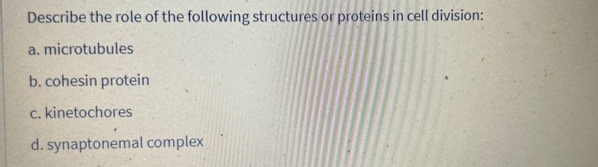 Describe the role of the following structures or proteins in cell division:
a. microtubules
b. cohesin protein
c. kinetochores
d. synaptonemal complex