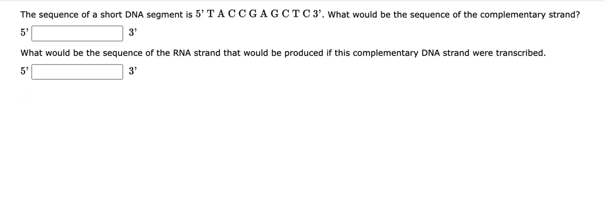 The sequence of a short DNA segment is 5' TA C C G A G C T C 3'. What would be the sequence of the complementary strand?
5'
3'
What would be the sequence of the RNA strand that would be produced if this complementary DNA strand were transcribed.
5'
3'