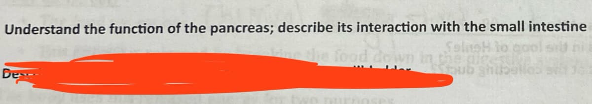 Understand the function of the pancreas; describe its interaction with the small intestine
Selo to goo
the food down in the digest
Sub ghubbelles
Dex