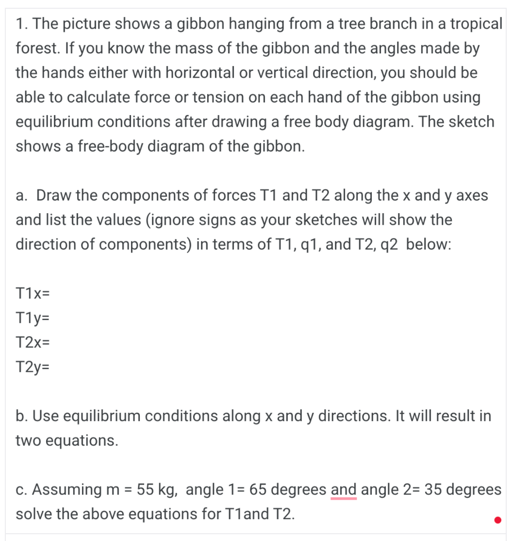 1. The picture shows a gibbon hanging from a tree branch in a tropical
forest. If you know the mass of the gibbon and the angles made by
the hands either with horizontal or vertical direction, you should be
able to calculate force or tension on each hand of the gibbon using
equilibrium conditions after drawing a free body diagram. The sketch
shows a free-body diagram of the gibbon.
a. Draw the components of forces T1 and T2 along the x and y axes
and list the values (ignore signs as your sketches will show the
direction of components) in terms of T1, q1, and T2, q2 below:
T1x=
T1y=
T2x=
T2y=
b. Use equilibrium conditions along x and y directions. It will result in
two equations.
c. Assuming m = 55 kg, angle 1= 65 degrees and angle 2= 35 degrees
%3D
solve the above equations for T1and T2.
