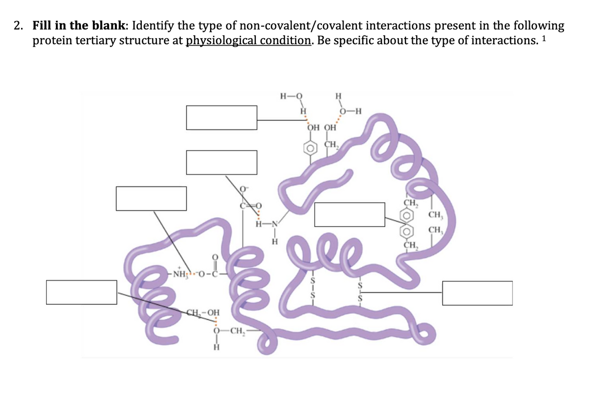 2. Fill in the blank: Identify the type of non-covalent/covalent interactions present in the following
protein tertiary structure at physiological condition. Be specific about the type of interactions. 1
H-O
0-H
он он
ÇH,
CH,
CH,
H
CH,
- NH;
CH-OH
0-CH,
QQQ
