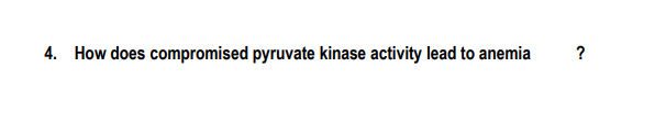 4. How does compromised pyruvate kinase activity lead to anemia
?
