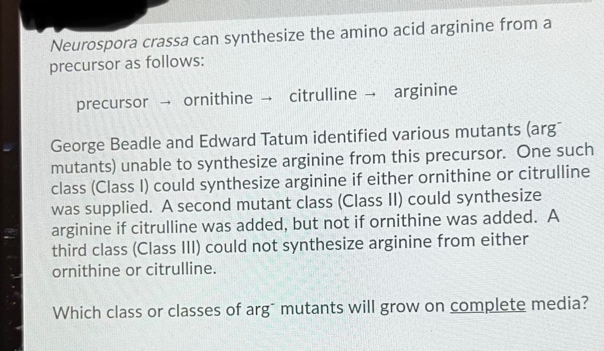 Neurospora crassa can synthesize the amino acid arginine from a
precursor as follows:
precursor
ornithine
citrulline
arginine
George Beadle and Edward Tatum identified various mutants (arg
mutants) unable to synthesize arginine from this precursor. One such
class (Class I) could synthesize arginine if either ornithine or citrulline
was supplied. A second mutant class (Class II) could synthesize
arginine if citrulline was added, but not if ornithine was added. A
third class (Class III) could not synthesize arginine from either
ornithine or citrulline.
Which class or classes of arg mutants will grow on complete media?
