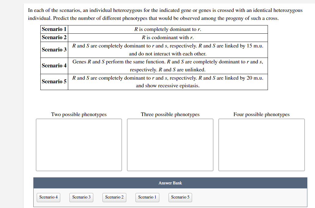 In each of the scenarios, an individual heterozygous for the indicated gene or genes is crossed with an identical heterozygous
individual. Predict the number of different phenotypes that would be observed among the progeny of such a cross.
Scenario 1
R is completely dominant to r.
R is codominant with r.
Scenario 2
R and S are completely dominant to r and s, respectively. R and S are linked by 15 m.u.
Scenario 3
and do not interact with each other.
Genes R and S perform the same function. R and S are completely dominant to r and s,
Scenario 4
respectively. R and S are unlinked.
R and S are completely dominant to r and s, respectively. R and S are linked by 20 m.u.
and show recessive epistasis.
Scenario 5
Two possible phenotypes
Three possible phenotypes
Four possible phenotypes
Answer Bank
Scenario 4
Scenario 3
Scenario 2
Scenario 1
Scenario 5
