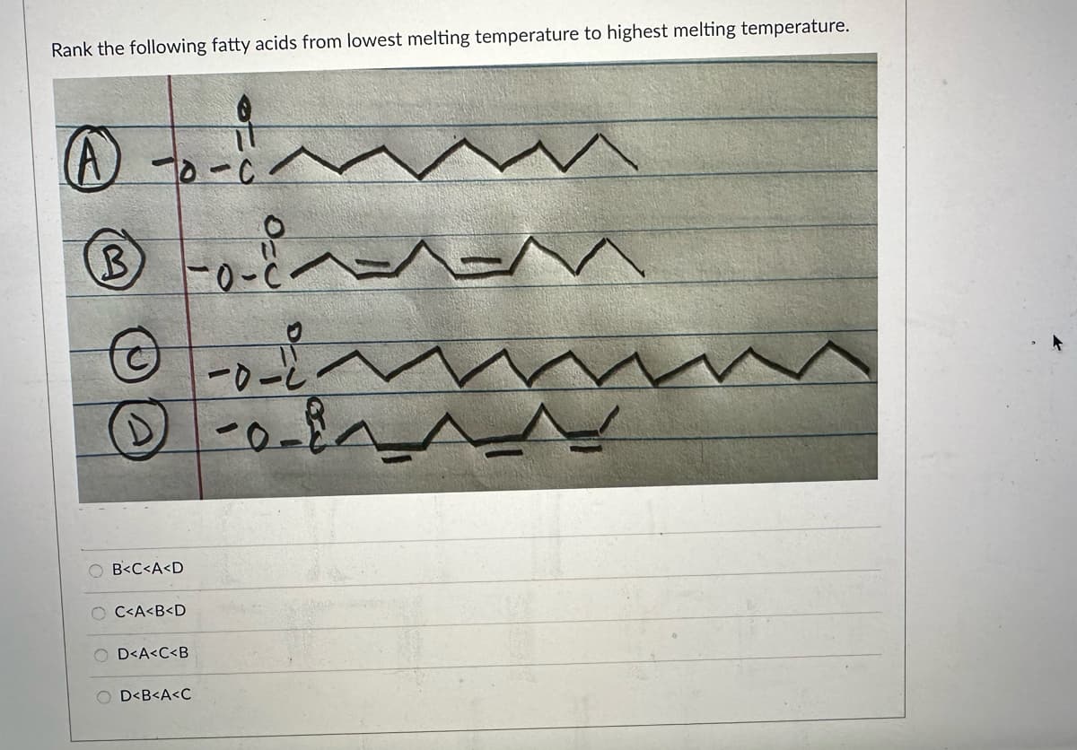 Rank the following fatty acids from lowest melting temperature to highest melting temperature.
A
-0-c
B-0-c
-0-2
D-0-84
OB<C<A<D
C<A<B<D
mm
D<A<C<B
OD<B<A<C
یه