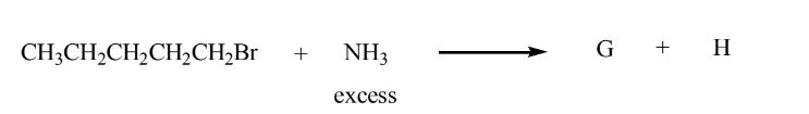 CH;CH2CH,CH,CH2B1
NH3
G +
H
+
excess
