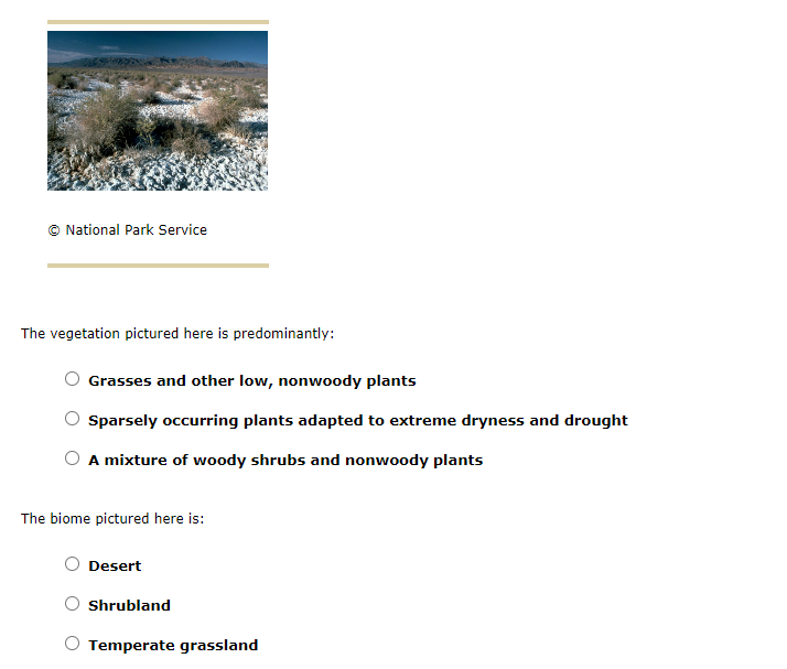 © National Park Service
The vegetation pictured here is predominantly:
Grasses and other low, nonwoody plants
Sparsely occurring plants adapted to extreme dryness and drought
A mixture of woody shrubs and nonwoody plants
The biome pictured here is:
Desert
Shrubland
O Temperate grassland
