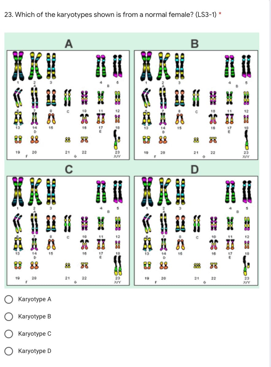 23. Which of the karyotypes shown is from a normal female? (LS3-1) *
A
10
10
11
16
15
10
17
18
88
88
88
88
10
20
21
22
23
19
20
21
22
23
D
XKI B XXI
10
11
15
10
88
88
10
20
21
22
23
19
20
21
22
23
Karyotype A
Karyotype B
Karyotype C
Karyotype D
然
