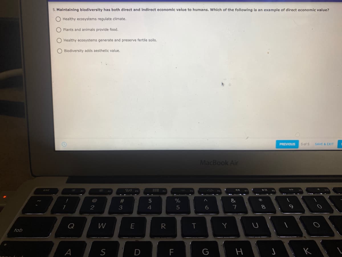 5. Maintaining biodiversity has both direct and indirect economic value to humans. Which of the following is an example of direct economic value?
O Healthy ecosystems regulate climate.
O Plants and animals provide food.
O Healthy ecosystems generate and preserve fertile solls.
O Blodiversity adds aesthetic value.
PREVIOUS
5 of 5
SAVE & EXIT
MacBook Air
esc
@
23
$
2
3
4
7
Q
E
T
tab
A
F
G
H
