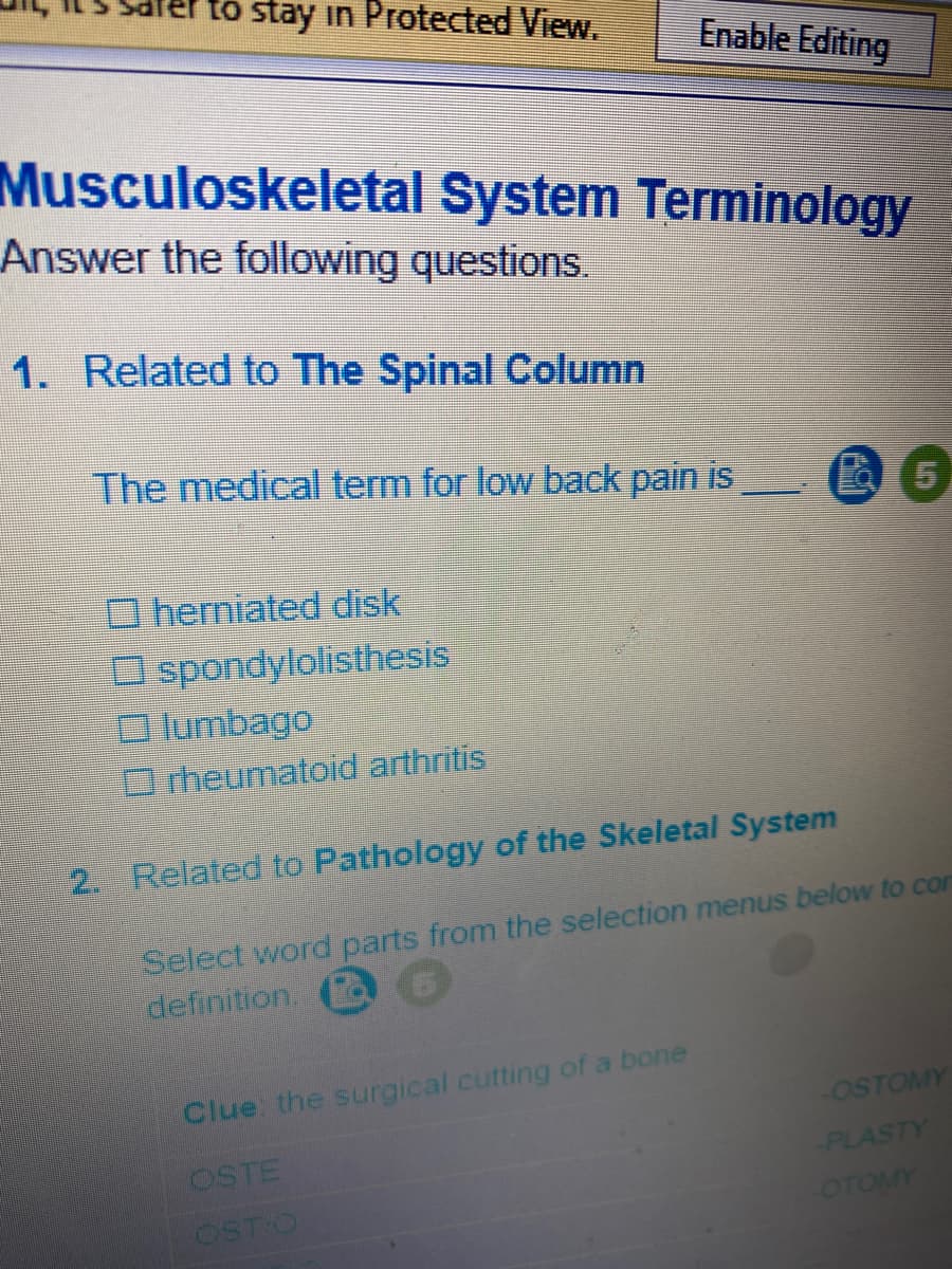 er to stay in Protected View.
Enable Editing
Musculoskeletal System Terminology
Answer the following questions.
1. Related to The Spinal Column
The medical term for low back pain is
5
O herniated disk
O spondylolisthesis
lumbago
Orheumatoid arthritis
2. Related to Pathology of the Skeletal System
Select word parts from the selection menus below to con
definition.
Clue the surgical cutting of a bone
-OSTOMY
OSTE
PLASTY
OST O
OTOMY
