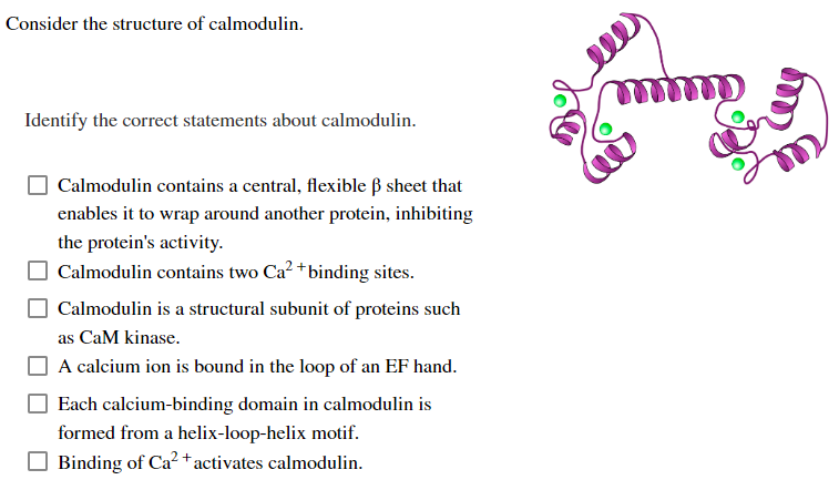 Consider the structure of calmodulin.
Identify the correct statements about calmodulin.
Calmodulin contains a central, flexible ß sheet that
enables it to wrap around another protein, inhibiting
the protein's activity.
Calmodulin contains two Ca²+ binding sites.
Calmodulin is a structural subunit of proteins such
as CaM kinase.
A calcium ion is bound in the loop of an EF hand.
Each calcium-binding domain in calmodulin is
formed from a helix-loop-helix motif.
Binding of Ca²+ activates calmodulin.
m