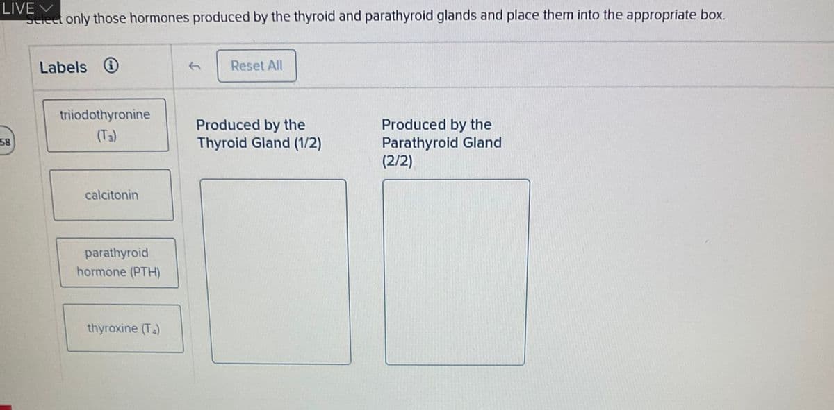 LIVE V
Select only those hormones produced by the thyroid and parathyroid glands and place them into the appropriate box.
58
Labels
triiodothyronine
calcitonin
parathyroid
hormone (PTH)
thyroxine (T)
Reset All
Produced by the
Thyroid Gland (1/2)
Produced by the
Parathyroid Gland
(2/2)