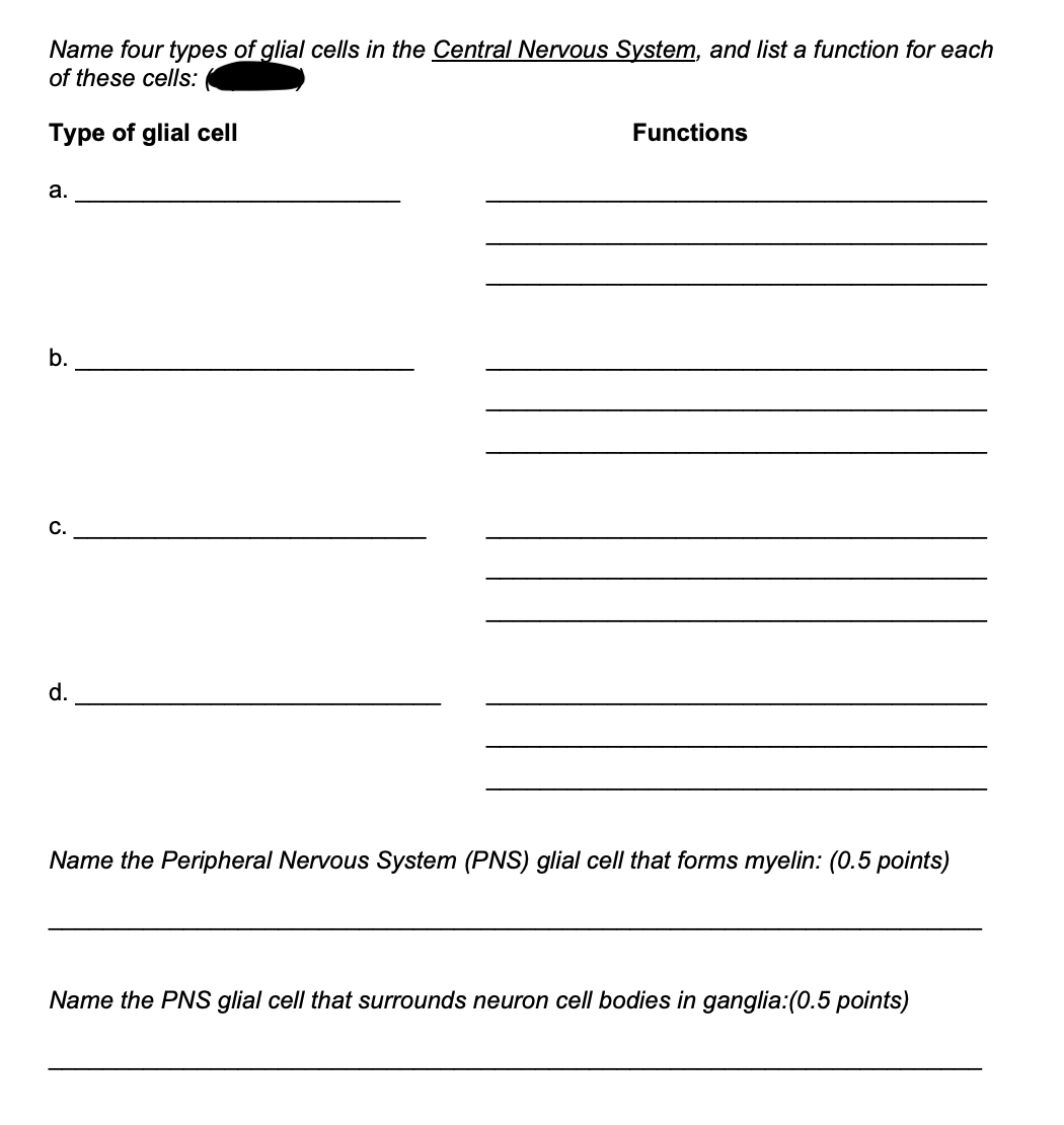 Name four types of glial cells in the Central Nervous System, and list a function for each
of these cells:
Type of glial cell
Functions
а.
b.
C.
d.
Name the Peripheral Nervous System (PNS) glial cell that forms myelin: (0.5 points)
Name the PNS glial cell that ssurrounds neuron cell bodies in ganglia:(0.5 points)
