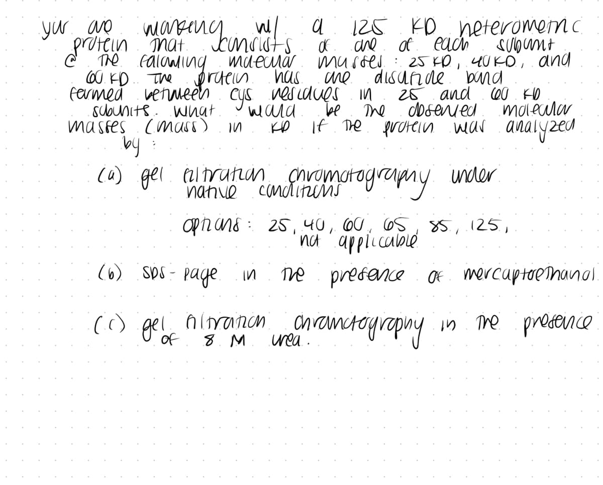 you are
тании
protein mat.
The calaming
60. KD. The protein.
farmed between cys
subunits. What.
masses (mass) in
>
a
Jconsists
df
maechar
maechar murses.
has.
residues in
125 KD heterometnc.
one of each
Subunt
25 K10, 40KD, and
спе disutide band
25
and 60 KD
molecular
If the protein was analyzed
шала
ко
The
absented
by
(a) gel inltration Chromatography under.
options: 25, 40, 60, 65, 85, 125.1
not applicable
(6) Sps- page in the presence of mercaptoethanol.
(c) gel filtration anrandtography
of
8. M
The presence
in. The