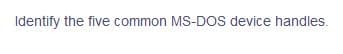 Identify the five common MS-DOS device handles.
