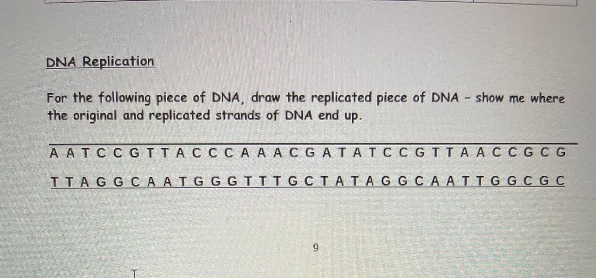 DNA Replication
For the following piece of DNA, draw the replicated piece of DNA show me where
the original and replicated strands of DNA end up.
A ATCCGTTACCCA A ACGATATC C GTTA AC C GC G
ITAG GCA ATGG GTTTG CTATAG GCA ATTGG C G C
