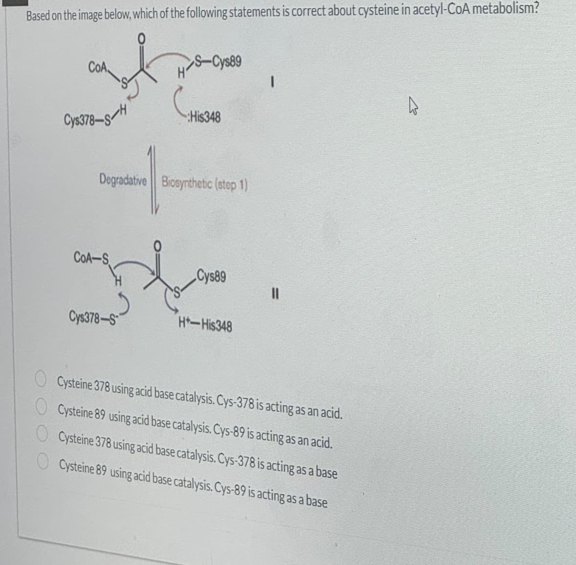 Based on the image below, which of the following statements is correct about cysteine in acetyl-CoA metabolism?
CoA
H-S-Cys89
1
Cys378-S
His348
Degradative || Biosynthetic (step (1)
COA-S
Cys89
Cys378-S
* His348
Cysteine 378 using acid base catalysis. Cys-378 is acting as an acid.
Cysteine 89 using acid base catalysis. Cys-89 is acting as an acid.
Cysteine 378 using acid base catalysis. Cys-378 is acting as a base
Cysteine 89 using acid base catalysis. Cys-89 is acting as a base