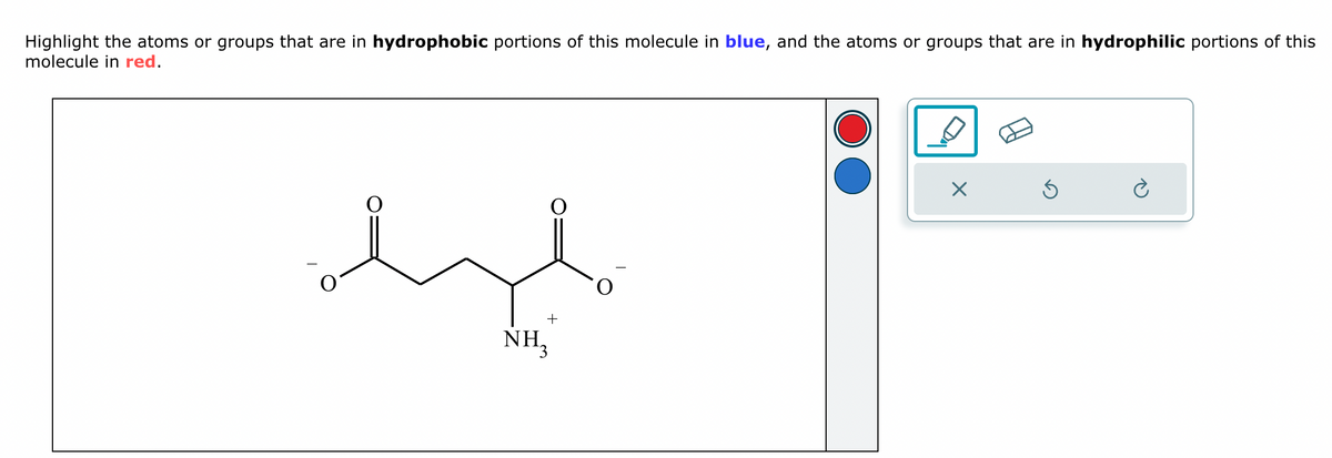 Highlight the atoms or groups that are in hydrophobic portions of this molecule in blue, and the atoms or groups that are in hydrophilic portions of this
molecule in red.
ك
بہر
+
NH₂
