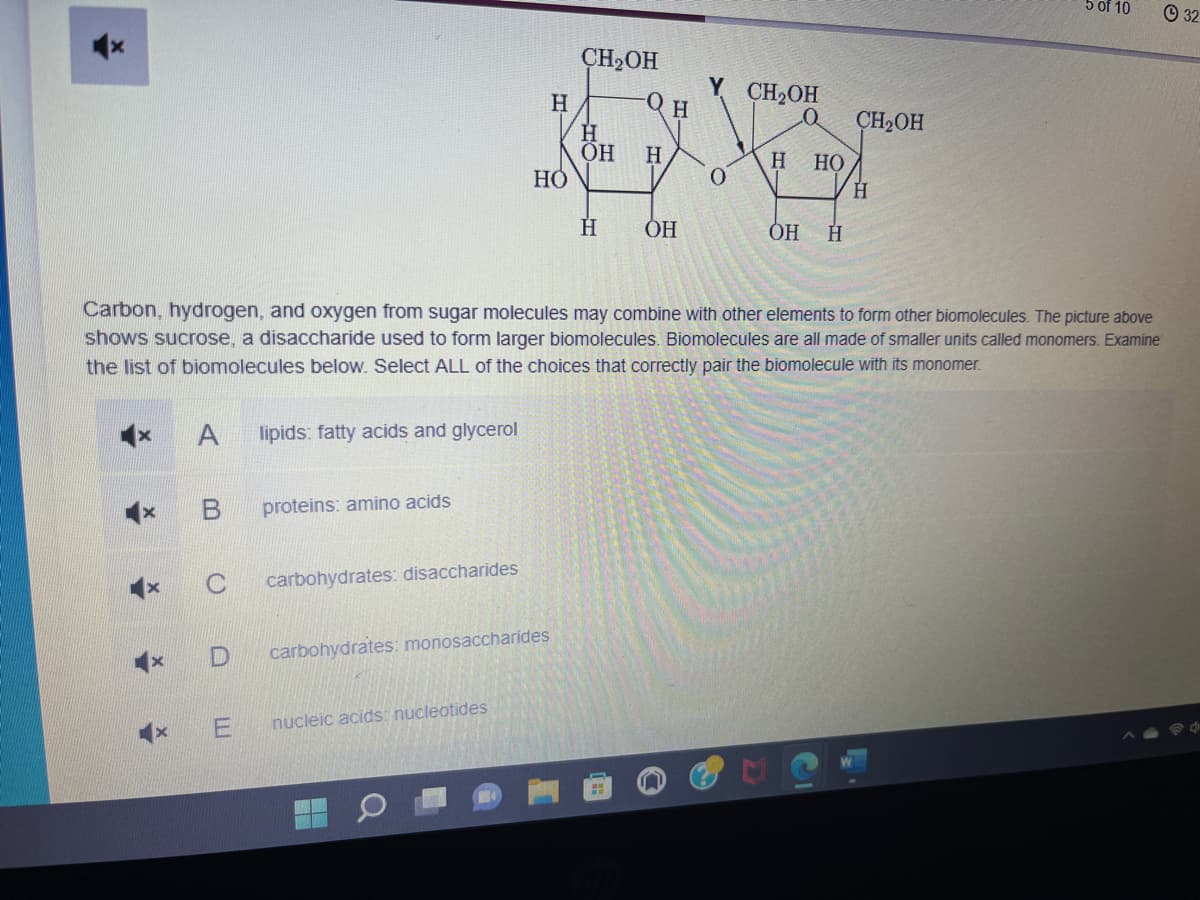 x
*
x
A
()
lipids: fatty acids and glycerol
proteins: amino acids
carbohydrates: disaccharides
H
HỎ
D carbohydrates: monosaccharides
E nucleic acids: nucleotides
CH₂OH
H
OH
H
Carbon, hydrogen, and oxygen from sugar molecules may combine with other elements to form other biomolecules. The picture above
shows sucrose, a disaccharide used to form larger biomolecules. Biomolecules are all made of smaller units called monomers. Examine
the list of biomolecules below. Select ALL of the choices that correctly pair the biomolecule with its monomer.
QH
H
H
OH
Y CH₂OH
0
Q CH₂OH
H HO
OH H
H
5 of 10
32