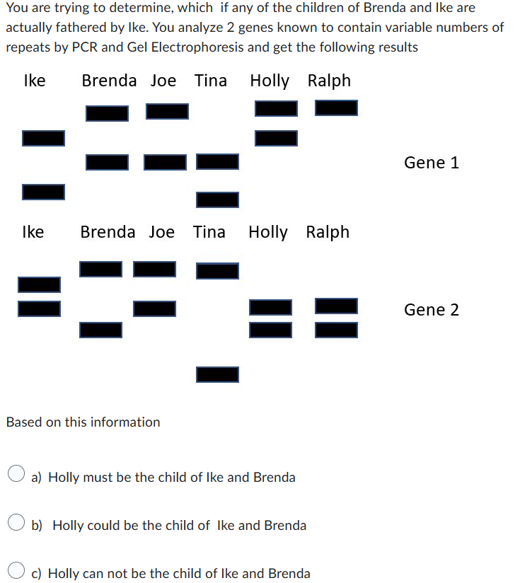 You are trying to determine, which if any of the children of Brenda and Ike are
actually fathered by Ike. You analyze 2 genes known to contain variable numbers of
repeats by PCR and Gel Electrophoresis and get the following results
Ike
Brenda Joe Tina
Holly Ralph
Ike
Brenda Joe Tina
Holly Ralph
Based on this information
a) Holly must be the child of Ike and Brenda
b) Holly could be the child of Ike and Brenda
c) Holly can not be the child of Ike and Brenda
Gene 1
Gene 2