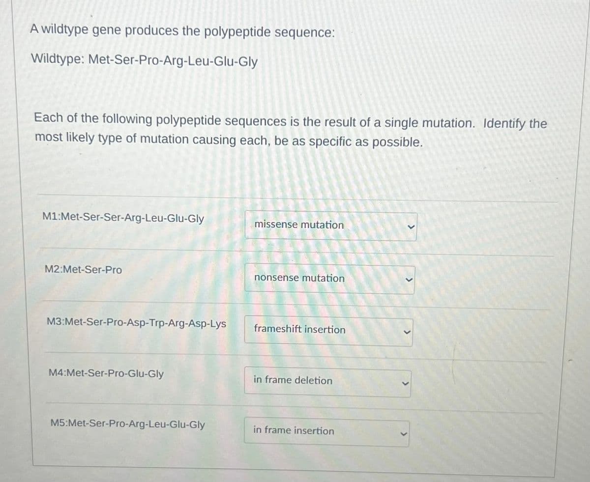 A wildtype gene produces the polypeptide sequence:
Wildtype: Met-Ser-Pro-Arg-Leu-Glu-Gly
Each of the following polypeptide sequences is the result of a single mutation. Identify the
most likely type of mutation causing each, be as specific as possible.
M1:Met-Ser-Ser-Arg-Leu-Glu-Gly
missense mutation
M2:Met-Ser-Pro
M3:Met-Ser-Pro-Asp-Trp-Arg-Asp-Lys
M4:Met-Ser-Pro-Glu-Gly
nonsense mutation
frameshift insertion
in frame deletion
M5:Met-Ser-Pro-Arg-Leu-Glu-Gly
in frame insertion