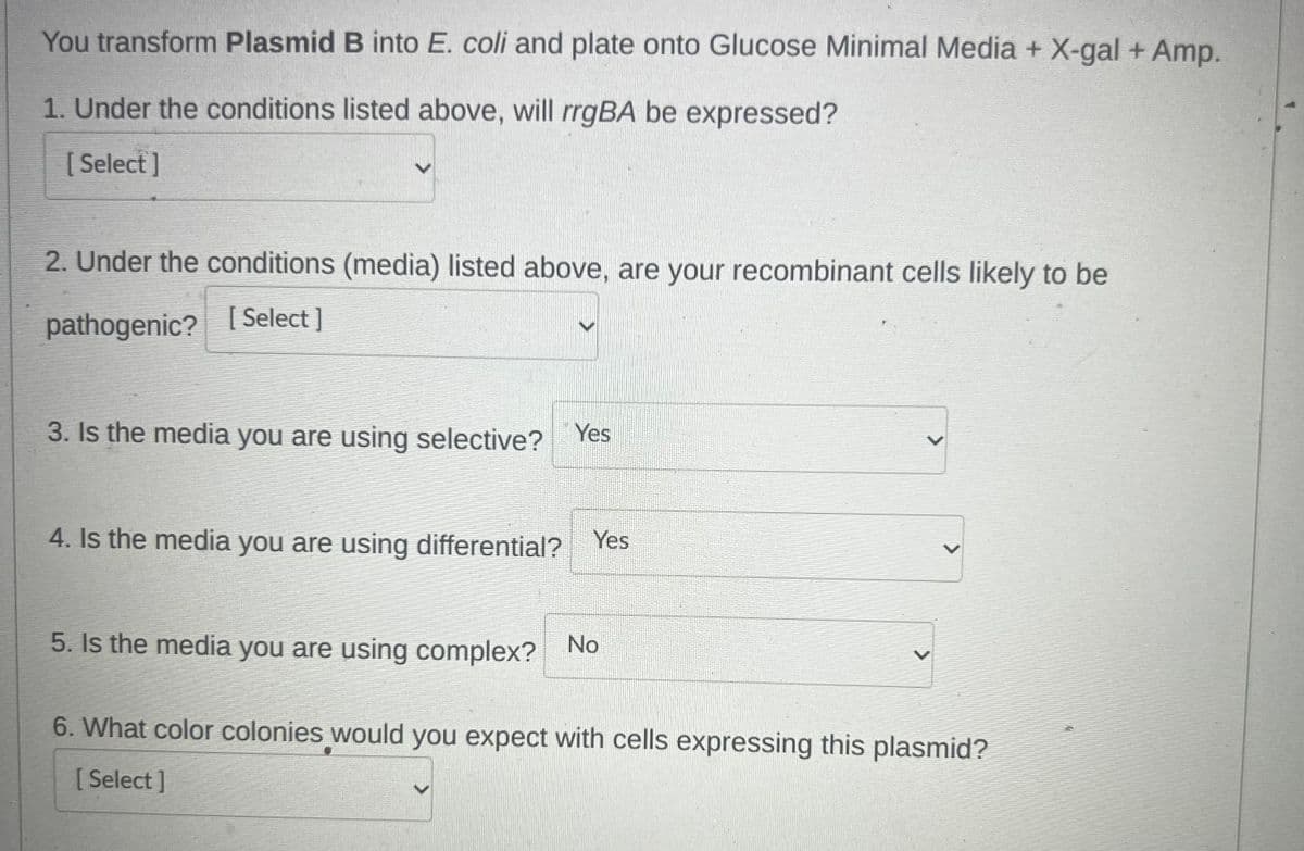 You transform Plasmid B into E. coli and plate onto Glucose Minimal Media + X-gal + Amp.
1. Under the conditions listed above, will rrgBA be expressed?
[Select]
2. Under the conditions (media) listed above, are your recombinant cells likely to be
pathogenic? [Select ]
3. Is the media you are using selective? Yes
4. Is the media you are using differential? Yes
5. Is the media you are using complex? No
6. What color colonies would you expect with cells expressing this plasmid?
[Select]