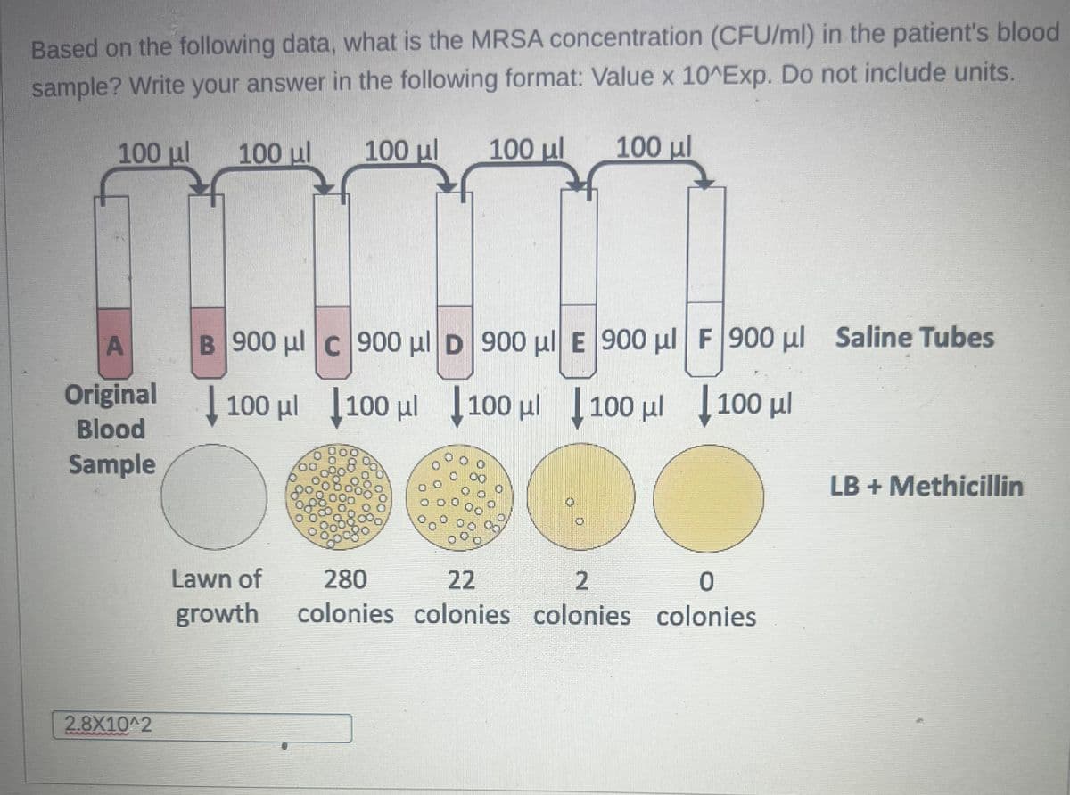 Based on the following data, what is the MRSA concentration (CFU/ml) in the patient's blood
sample? Write your answer in the following format: Value x 10^Exp. Do not include units.
100 μl
100 μl
100 μl
2.8X10^2
A
Original 100 μl 100 μl
Blood
Sample
100 μl
B 900 μl c 900 μl D 900 μl E 900 μl F 900 μl Saline Tubes
Lawn of
growth
000
100 μl
200080
100 μl
100 μl
| 100 μ. | 100 με
280
22
2
0
colonies colonies colonies colonies
LB + Methicillin